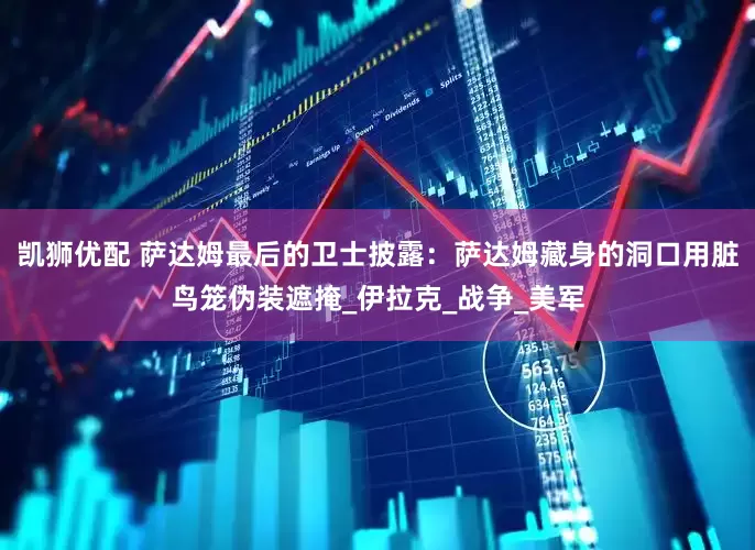 凯狮优配 萨达姆最后的卫士披露：萨达姆藏身的洞口用脏鸟笼伪装遮掩_伊拉克_战争_美军